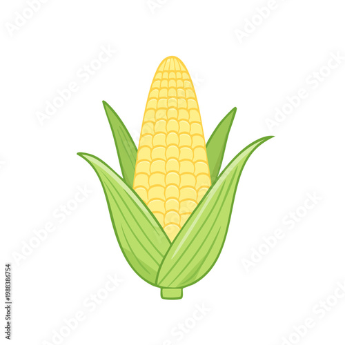 Illustration of a ripe ear of corn with green husks and yellow kernels, a simple, fresh food icon.