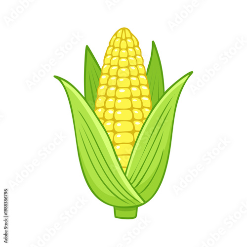 Fresh Yellow Corn Cob with Green Husk and Leaves Cartoon Illustration