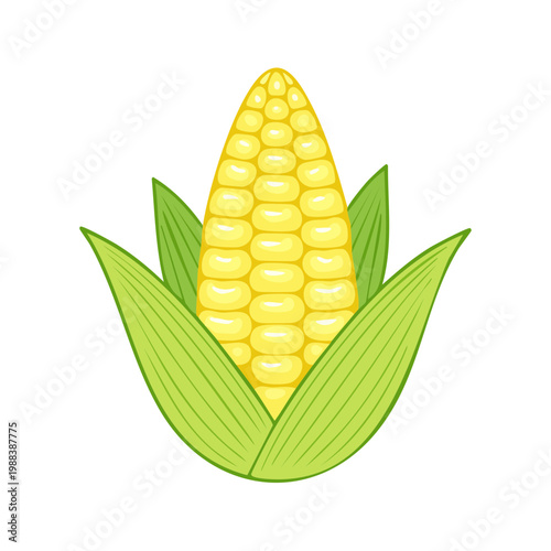 Vibrant yellow corn cob illustration with green husks and leaves in a simple cartoon style