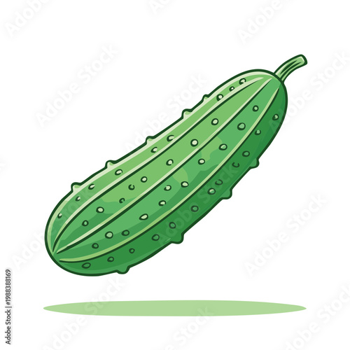Fresh Green Cucumber Vegetable Illustration Healthy Food Ingredient