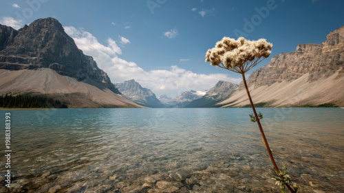 young mother practices meditation in cozy kitchen nook fostering warm connection with her child