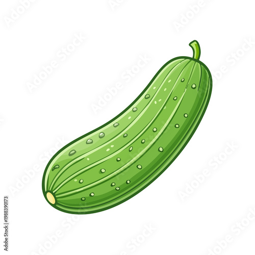 Fresh Green Cucumber Illustration Freshly Picked Healthy Food Ingredient