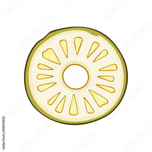 Cross section of a stylized ripe pineapple showing its juicy fibrous pulp and skin