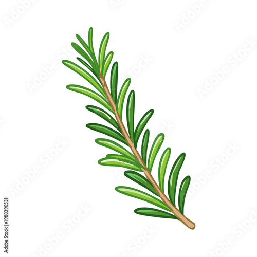 Vibrant Green Rosemary Sprig Illustration Delicate Herb Branch with Thin Leaves