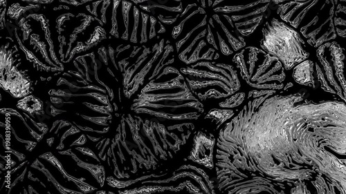 Abstract frost patterns forming on a black background