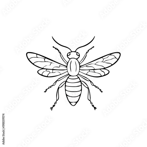 Detailed Line Art Illustration of a Wasp Insect with Wings and Antennae