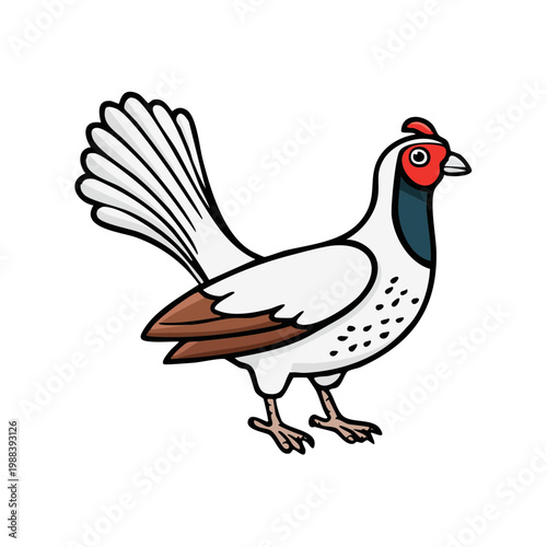 White Pheasant Bird Illustration Isolated on White Background