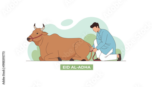 Illustration of man with cow for Eid al-Adha holiday, religious sacrifice tradition, Qurban celebration concept, Muslim festival commemoration, animal for halal meat distribution.