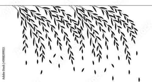 Simple black silhouette of a weeping willow branch illustration vector