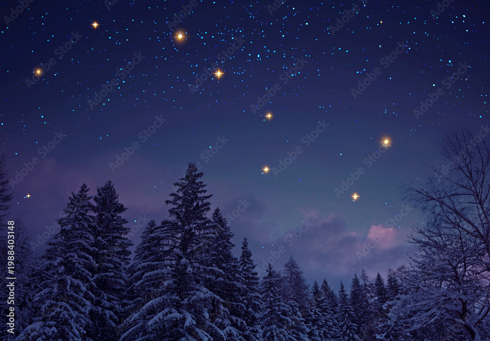 Fototapeta premium Night stars sky in a winter forest landscape.