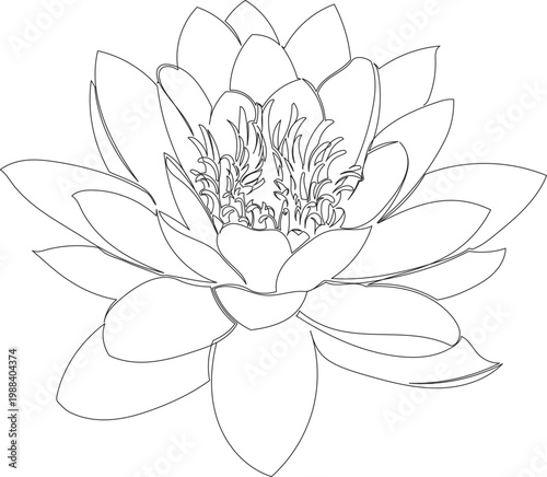 Continuous One Line Drawing of Water Lily Flower