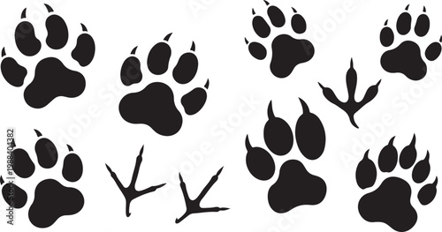 A versatile set of vector silhouettes featuring a variety of mammal paw prints with visible claws and delicate avian footprints.