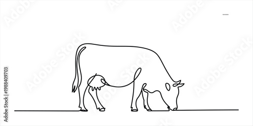 A single continuous line drawing of a cow grazing in a field on a white background. Vector, illustration