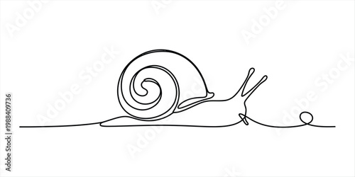 Minimalist single line art illustration of a slow snail crawling on a white surface. Vector, illustration