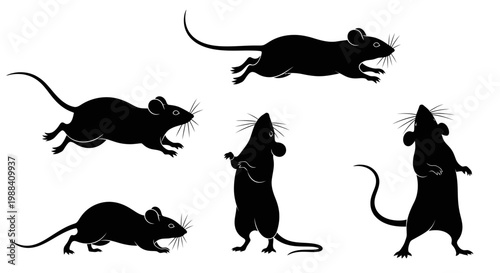 Silhouette Of Five Rodents With Various Poses Isolated On A White Background