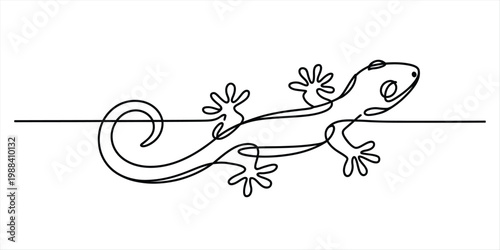 Minimalist continuous line drawing of a lizard or gecko reptile isolated on white. Vector, illustration
