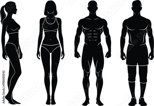 Human body silhouettes male and female figures set, front and side views anatomy shapes for design, fitness and medical concept vector illustration