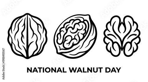 Delicious Walnut Trio - Whole, Halved, and Kernel Display for National Walnut Day.