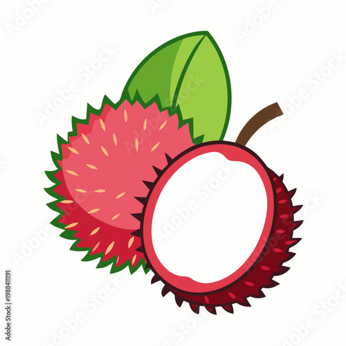 A tropical rambutan fruit vector graphic showing one whole spiky red fruit and one halved piece with translucent white flesh and a green leaf.