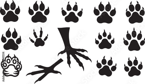 Animal Paw Prints and Bird Talon Silhouette Collection