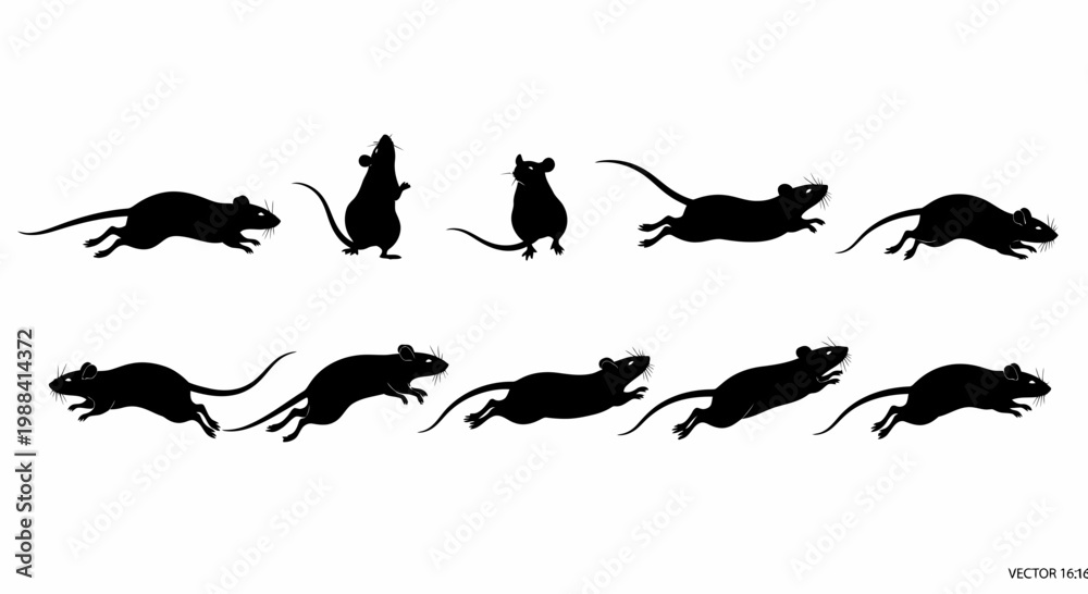 Fototapeta premium Silhouette Of Rodents In Various Poses Against a Clean White Background