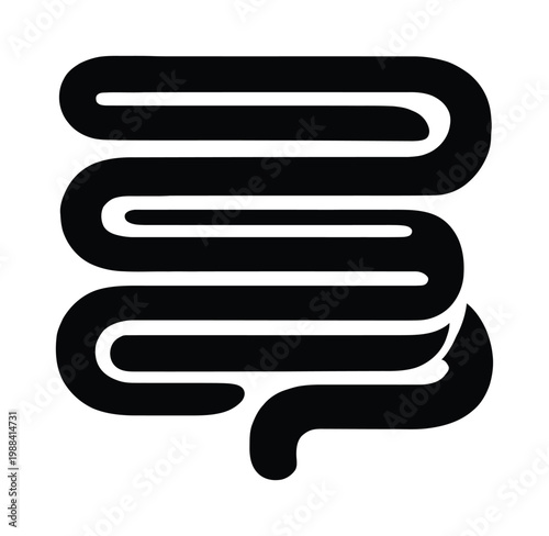 Vector of human intestines in a simplified design.