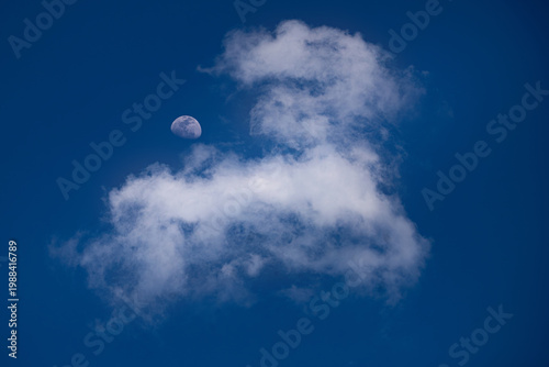 Waning Gibbous Moon in a Clear Blue Sky with a Fluffy White Cloud.