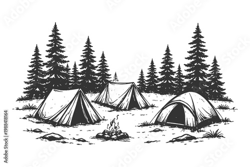 Camping tents in pine forest with campfire in vintage engraving line art style, black and white vector illustration of outdoor adventure campsite