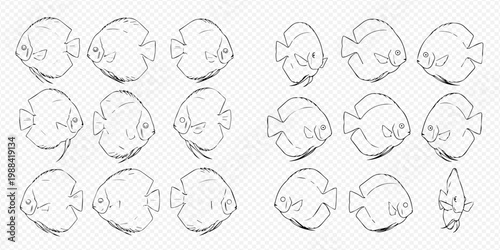 Collection of hand-drawn fish sketches, showcasing various aquatic life forms in a simple, illustrative style.