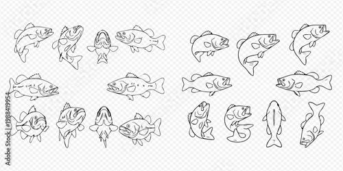 Set of various line art fish illustrations in different poses and angles, perfect for fishing and aquatic themes.