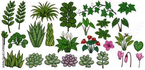 Vector set of various decorative houseplants and botanical elements, isolated on white background.