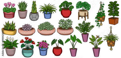 Set of diverse potted houseplants and succulents, vector illustration
