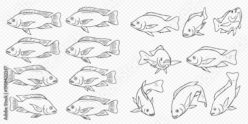 Set of hand-drawn fish illustrations, including various aquatic animals in different poses, perfect for marine life designs.