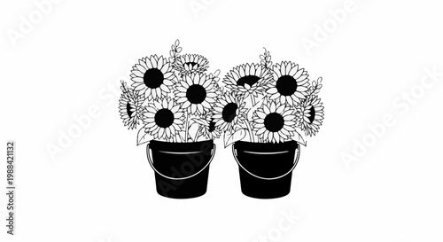 Two black buckets overflowing with blooming sunflowers, a cheerful summery display