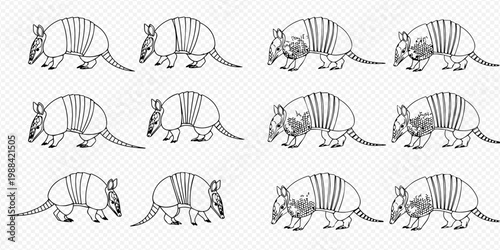 Set of twelve hand-drawn armadillos in various poses and styles, isolated on a transparent background.