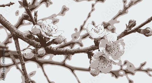 Delicate pink blossoms and tight buds gracefully emerge on a textured branch, heralding the fresh arrival of springtime beauty, new life, and the gentle awakening of nature.