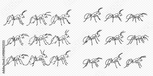 Seamless vector animation sprite sheet of an ant walking cycle.