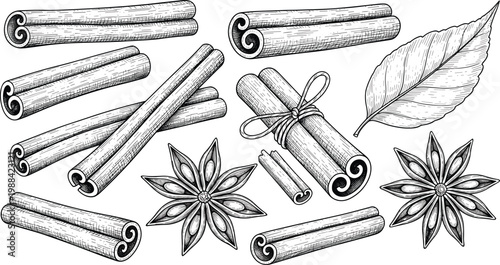 Set of Cinnamon Stick and Star Anise Botanical Illustrations Featuring Bark Rolls Tied Bundles Dried Spice Seeds and Leaves for Culinary Herbal and Food Flavoring Designs