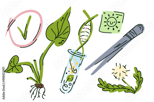 A test tube with a plant and a DNA strand flying out of it among plants, tweezers, a dandelion, and a doodle-style checkmark, genome sequencing