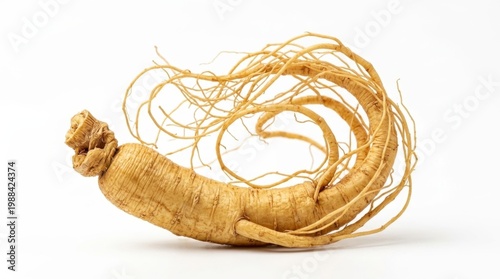 Whole raw dried Korean ginseng root with thin tangled rootlets on a white background