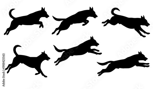 Trendy six dog silhouettes with running and jumping action poses isolated vector collection