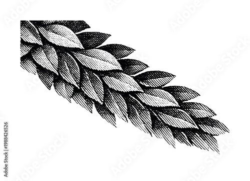 Home organization moment. Person sorting mail into labeled trays or slots, calm focused action and tidy