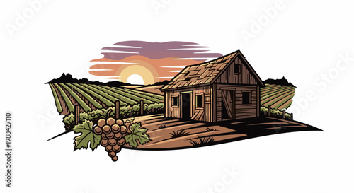 Rustic wooden barn and vineyard at sunset, with grapes in the foreground