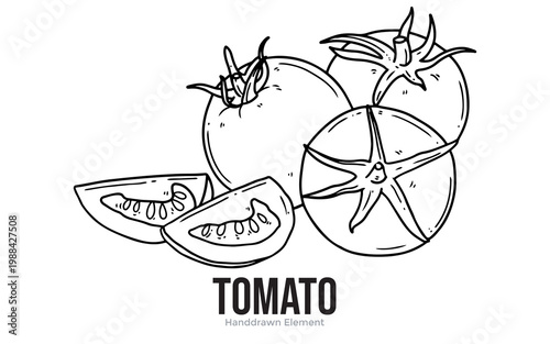 A hand-drawn illustration of ripe tomatoes, one whole and one sliced, showcasing their internal structure and vibrant red color.