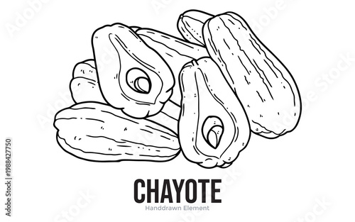 A hand-drawn illustration of a pile of chayote squash, with some cut in half to reveal the seed.