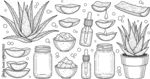 Set of Aloe Vera Botanical Icons Featuring Succulent Plants Sliced Leaves Gel Bowls Dropper Bottles and Glass Jars for Skincare Health and Cosmetic Graphic Designs