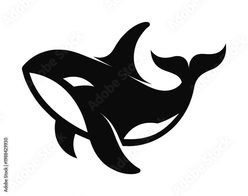 Vector of a swimming killer whale with sleek fins and tail.