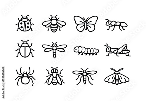 My Beloved. Set lettering. 4 harmonious lettering variations of the same emblematic concept, each with