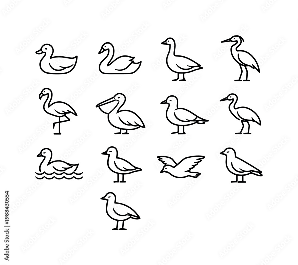 Obraz premium Water birds. Line outline icon set of Water birds: duck, swan, goose, heron, flamingo, pelican, seagull, crane