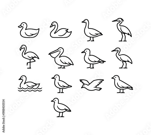 Water birds. Line outline icon set of Water birds: duck, swan, goose, heron, flamingo, pelican, seagull, crane